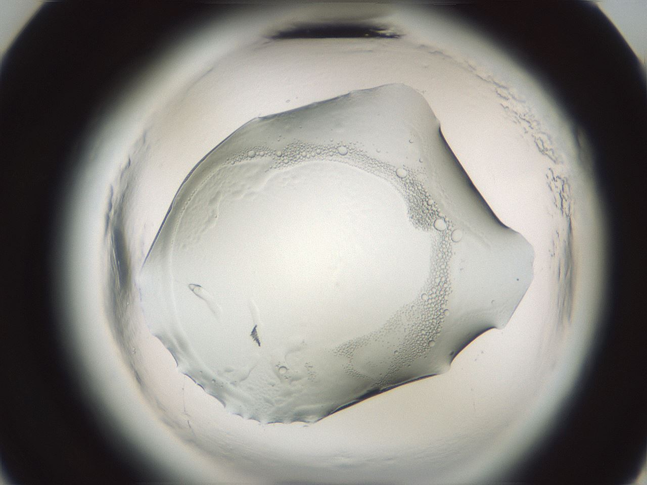 folderID610_plateID2610_batchID13190_wellNum23_profileID1_d3_r206574_ef.jpg