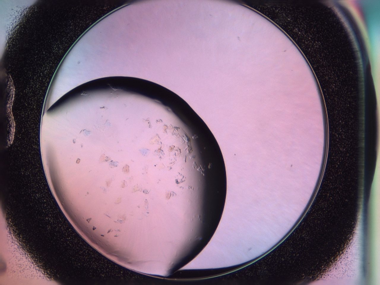 02to_B6_ImagerDefaults_8.jpg