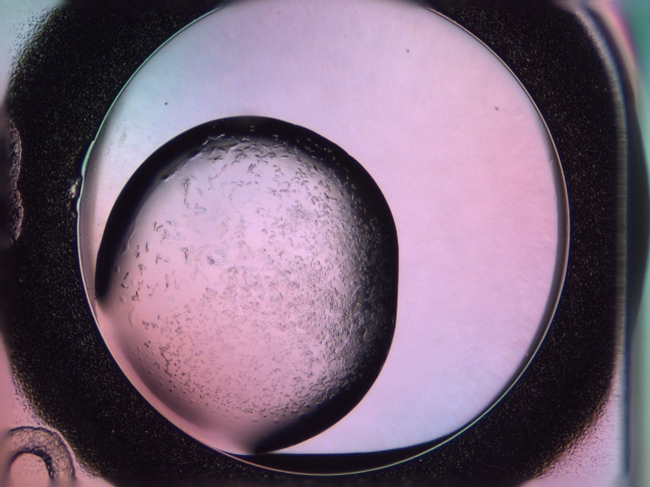 02to_B10_ImagerDefaults_6.jpg
