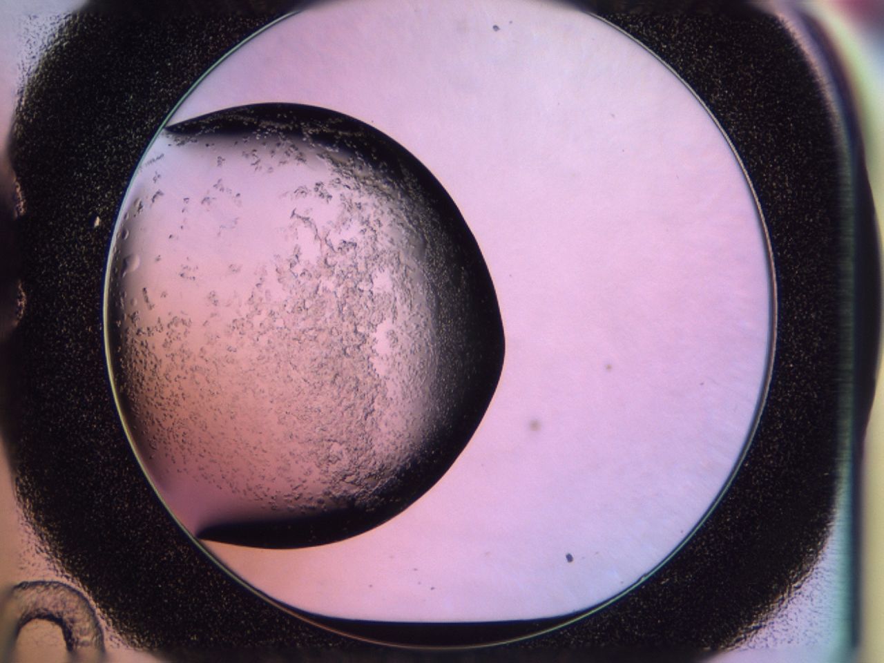 02to_C10_ImagerDefaults_6.jpg