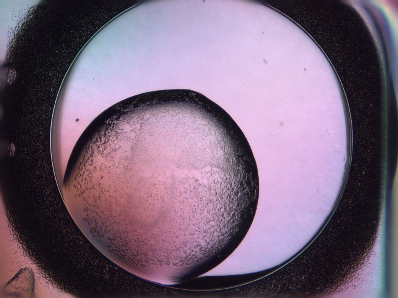 02to_E11_ImagerDefaults_6.jpg