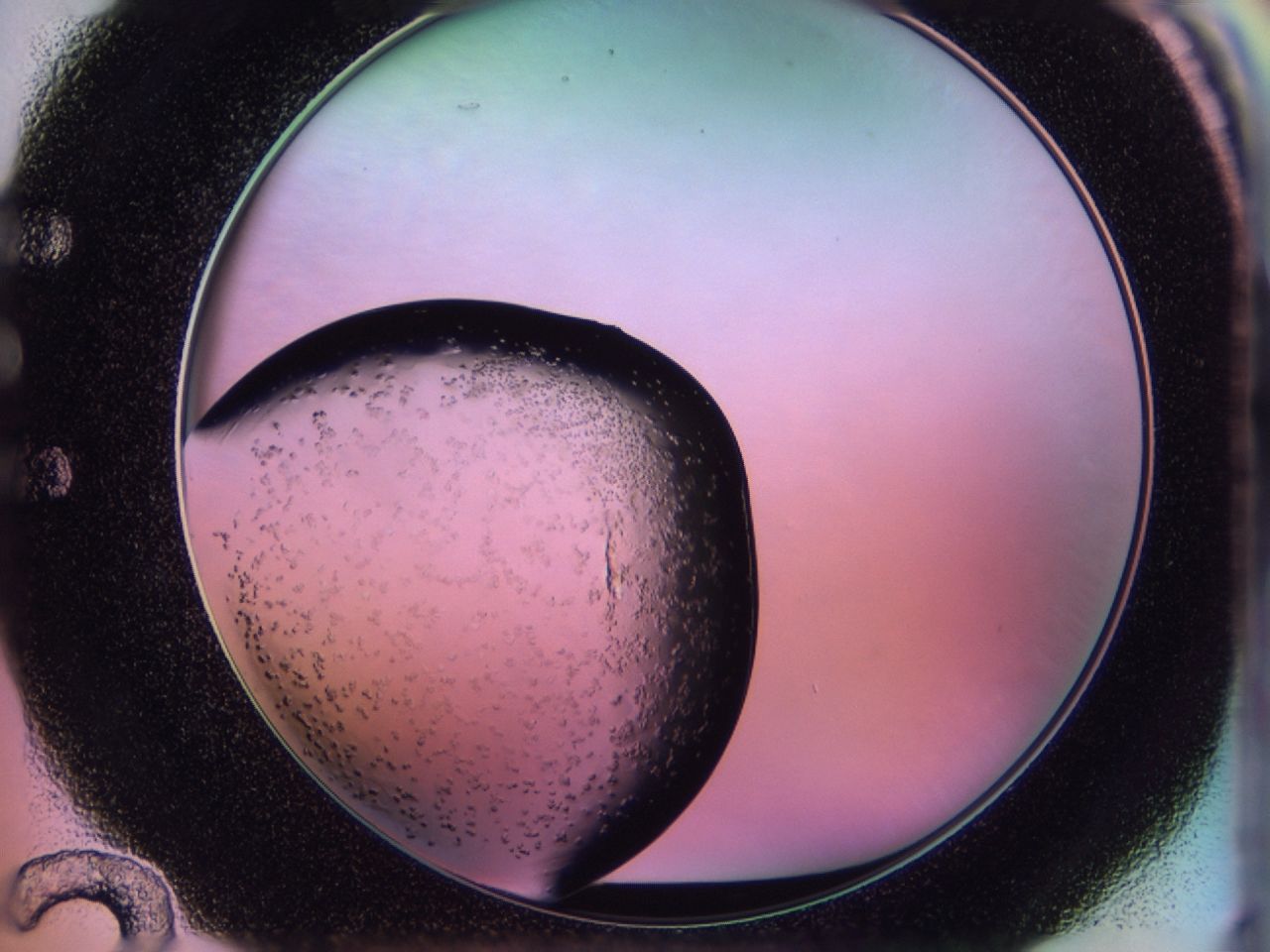 02to_E12_ImagerDefaults_6.jpg
