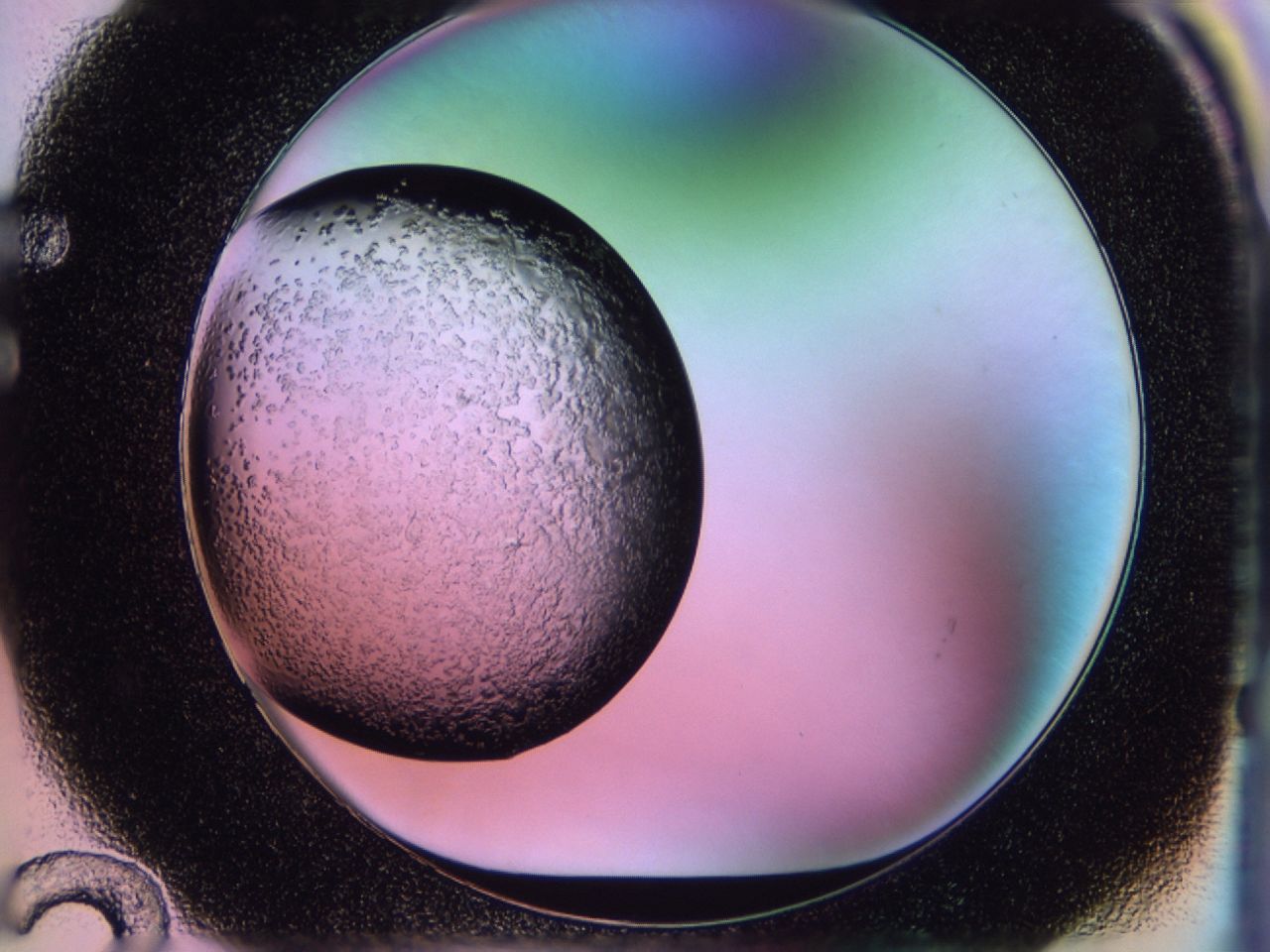 02to_F12_ImagerDefaults_6.jpg
