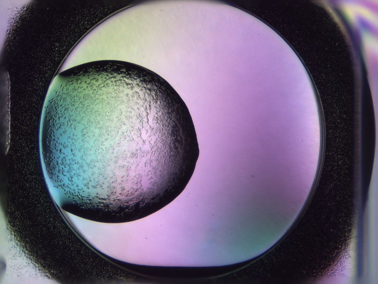 02to_H7_ImagerDefaults_6.jpg