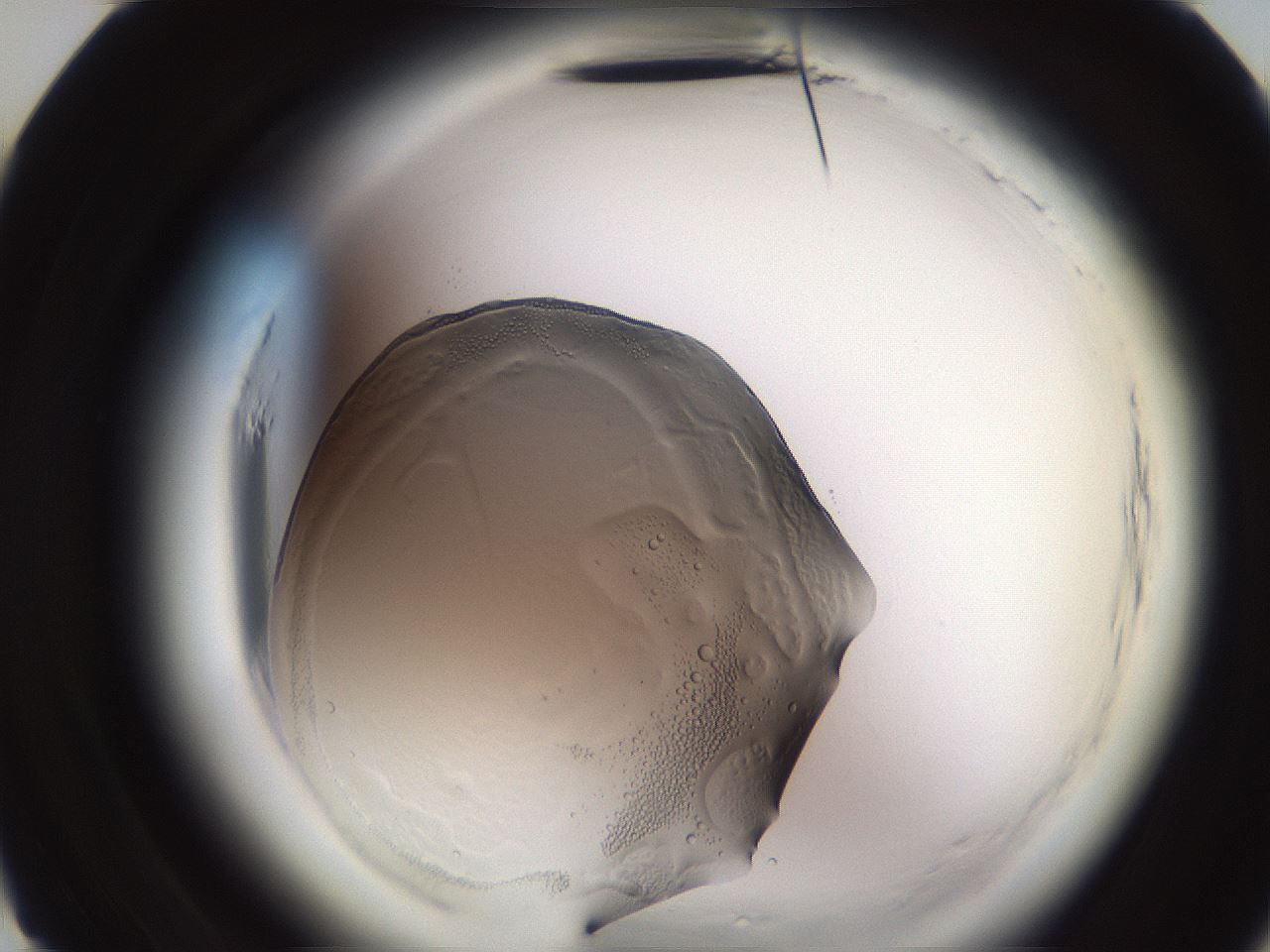 folderID611_plateID2611_batchID13192_wellNum10_profileID1_d3_r207111_ef.jpg