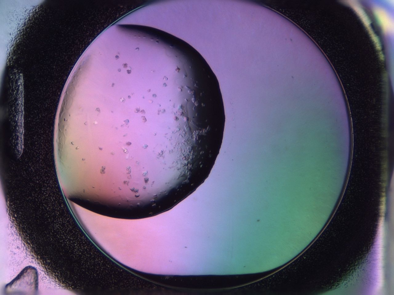 02to_H11_ImagerDefaults_7.jpg