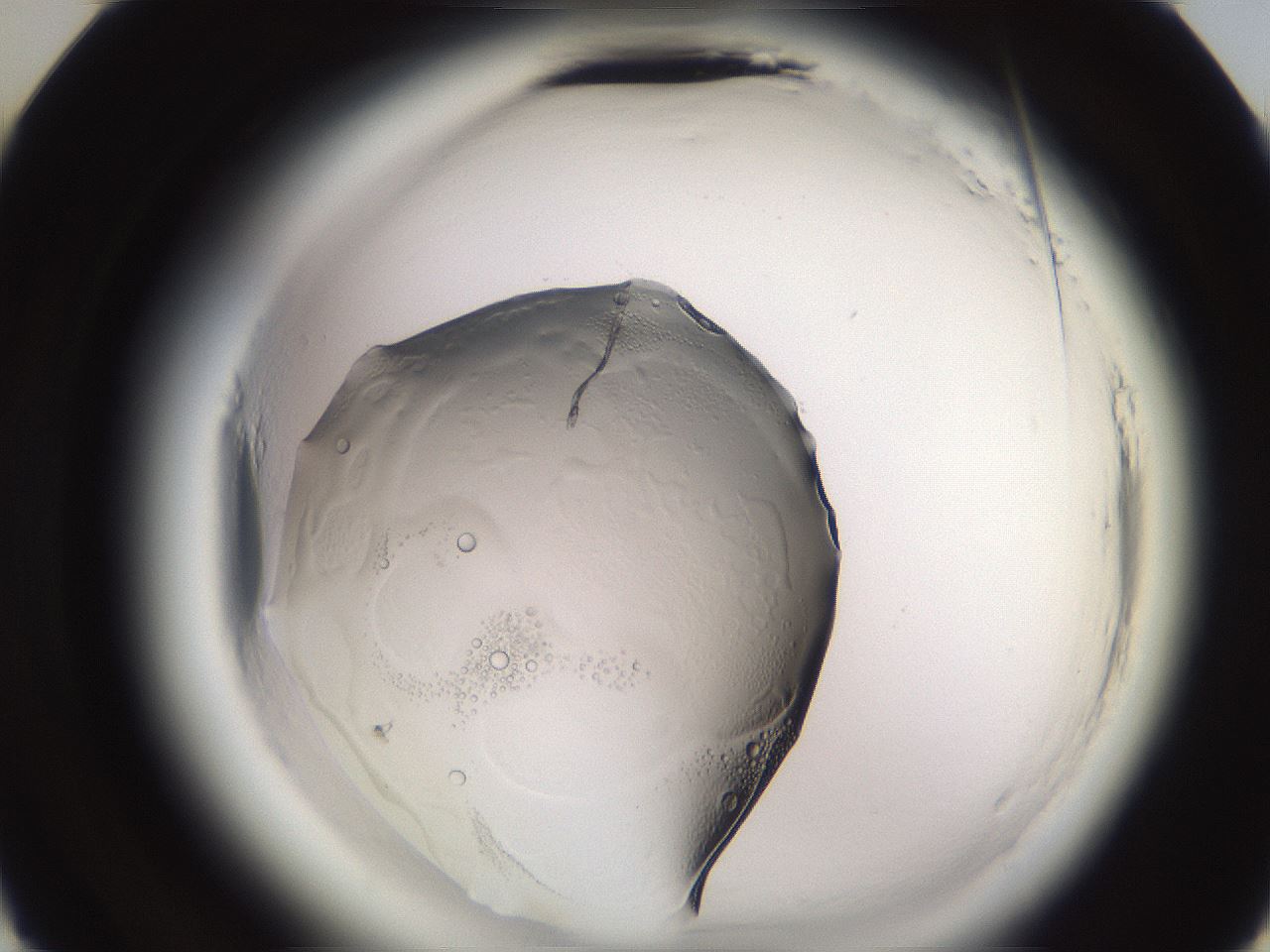 folderID611_plateID2611_batchID13192_wellNum22_profileID1_d3_r207147_ef.jpg