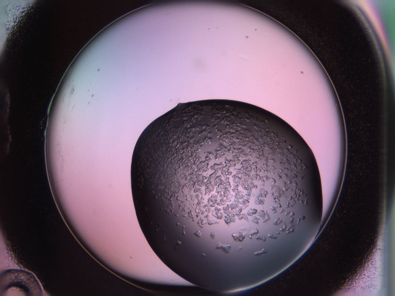 02tp_B10_ImagerDefaults_6.jpg