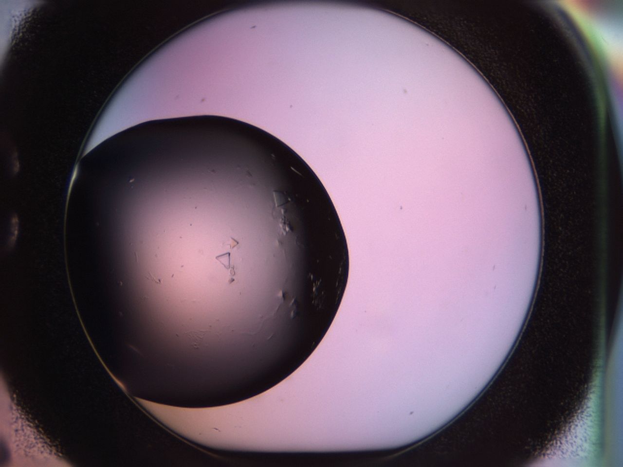 02tp_C6_ImagerDefaults_7.jpg