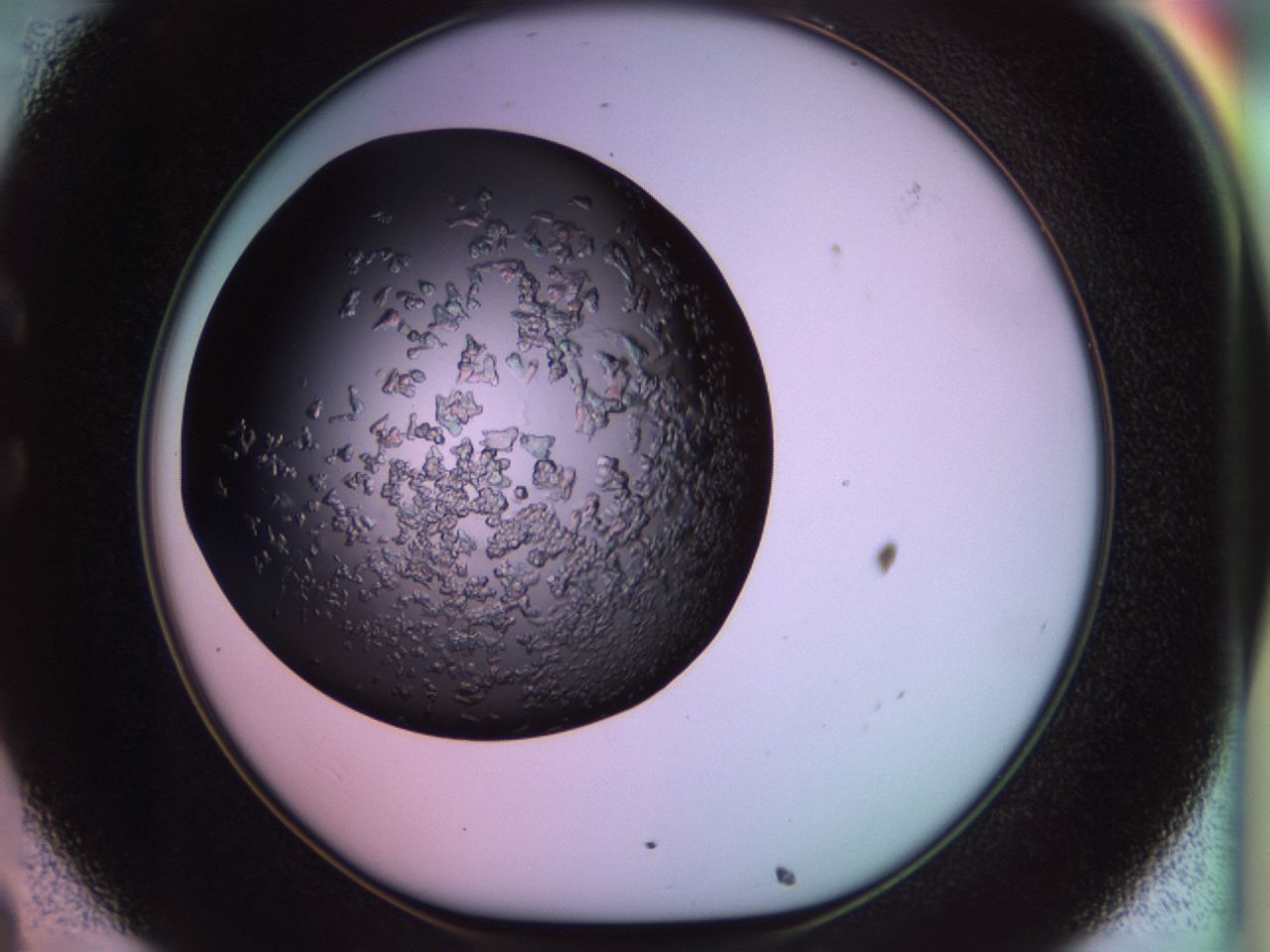 02tp_C8_ImagerDefaults_6.jpg