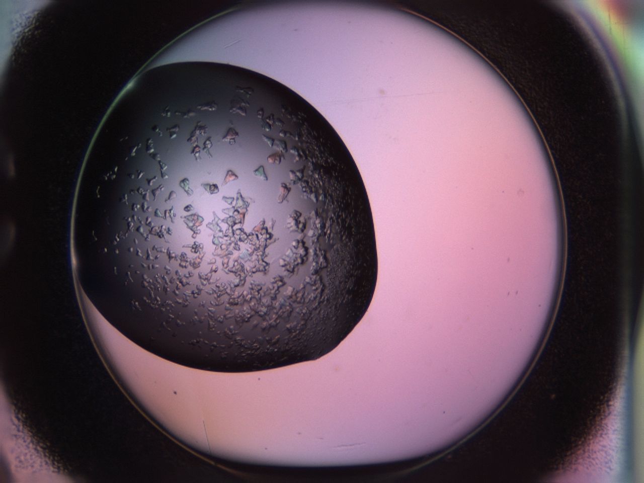 02tp_C9_ImagerDefaults_6.jpg
