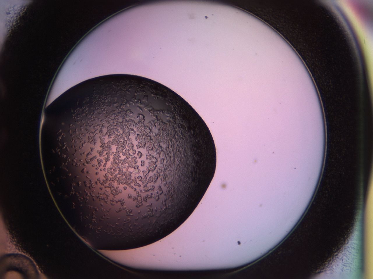 02tp_C10_ImagerDefaults_6.jpg