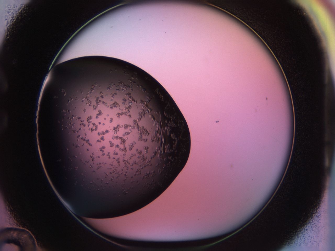 02tp_C12_ImagerDefaults_6.jpg