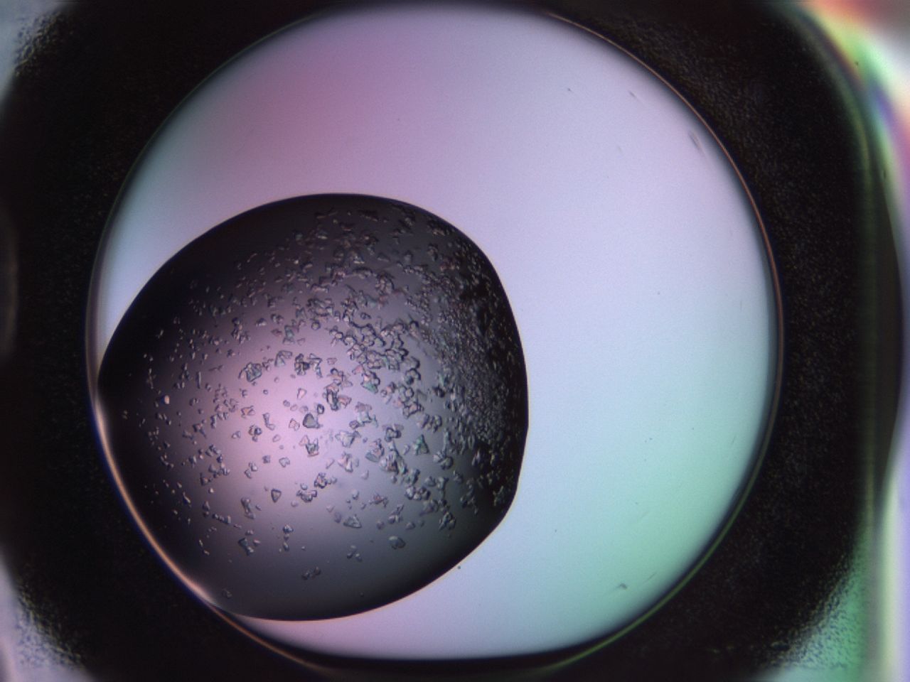 02tp_D3_ImagerDefaults_6.jpg
