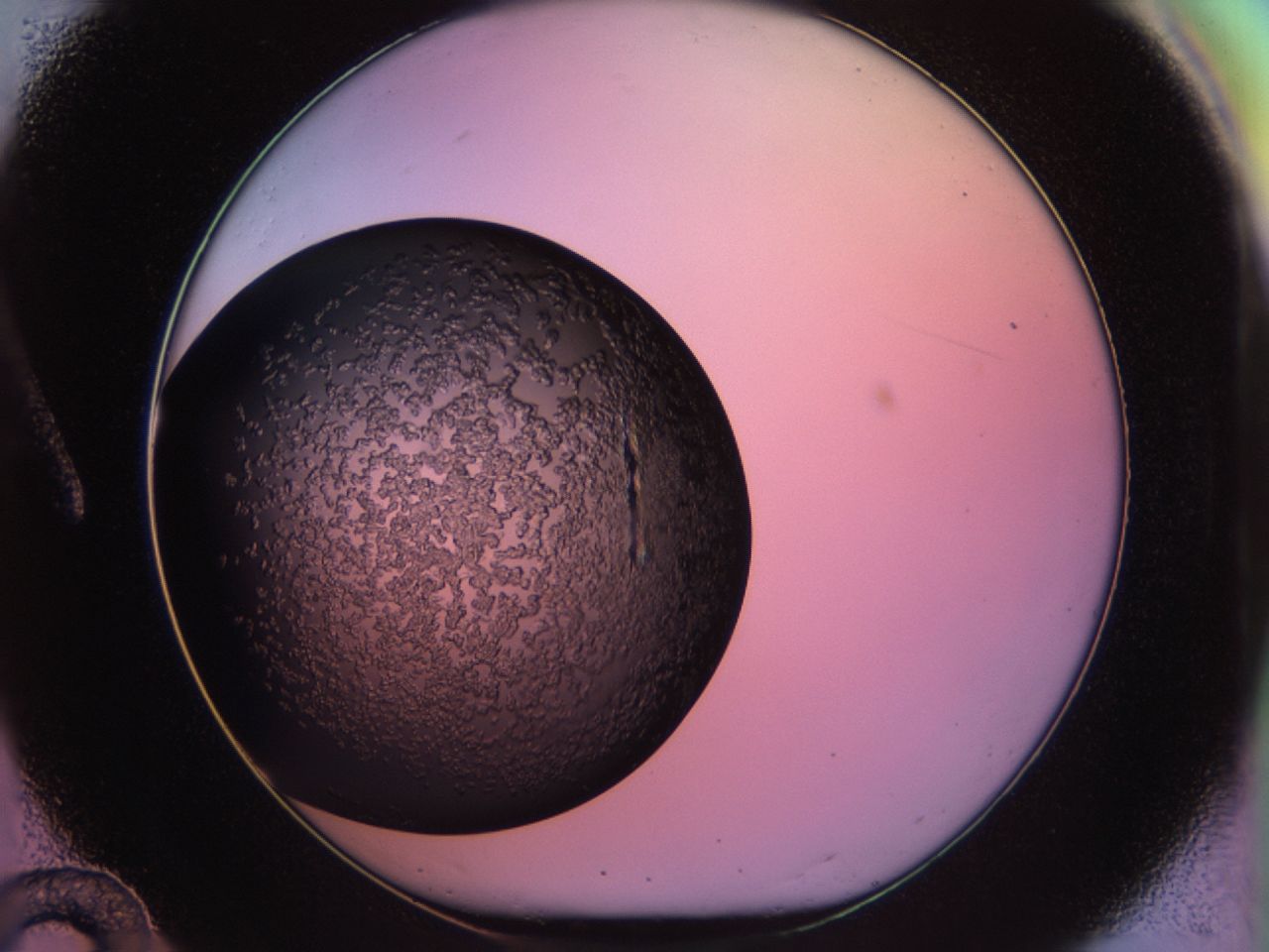 02tp_A12_ImagerDefaults_6.jpg