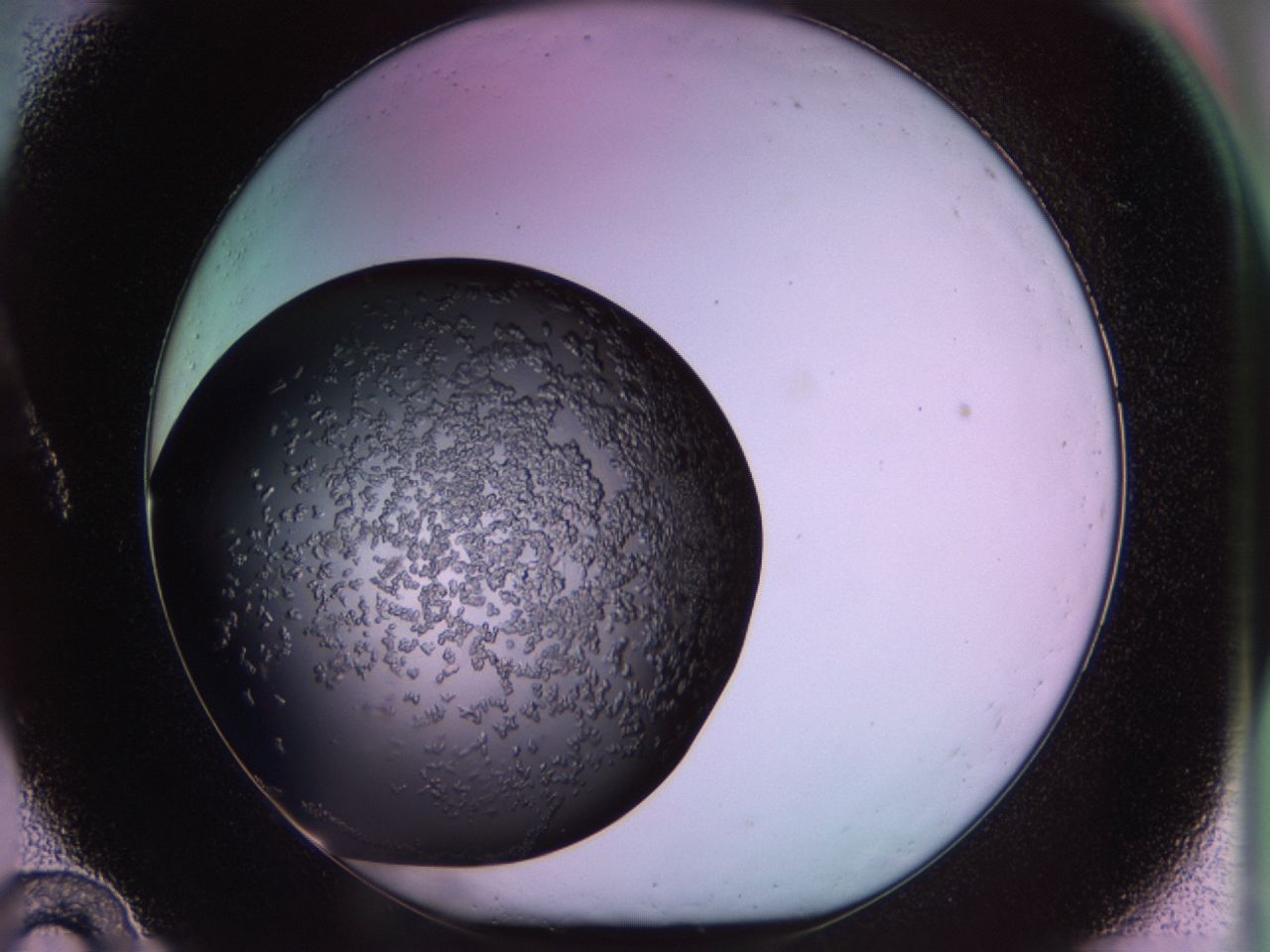02tp_A10_ImagerDefaults_6.jpg