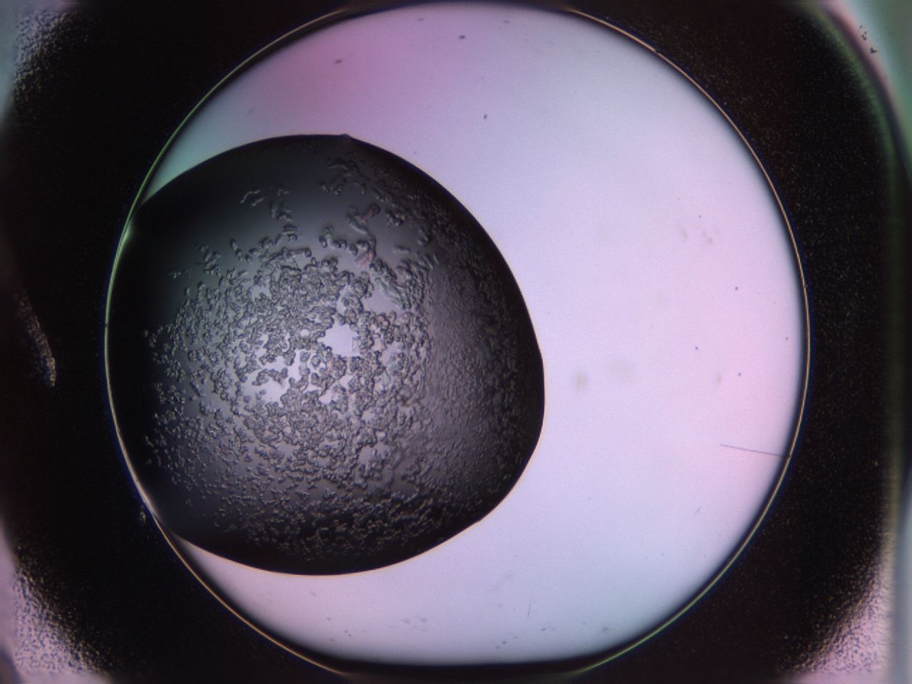 02tp_A9_ImagerDefaults_6.jpg
