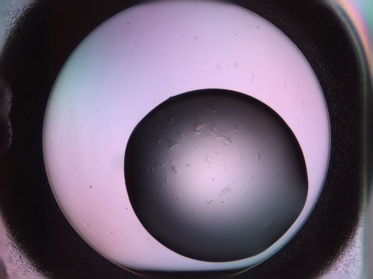 02tp_B8_ImagerDefaults_7.jpg