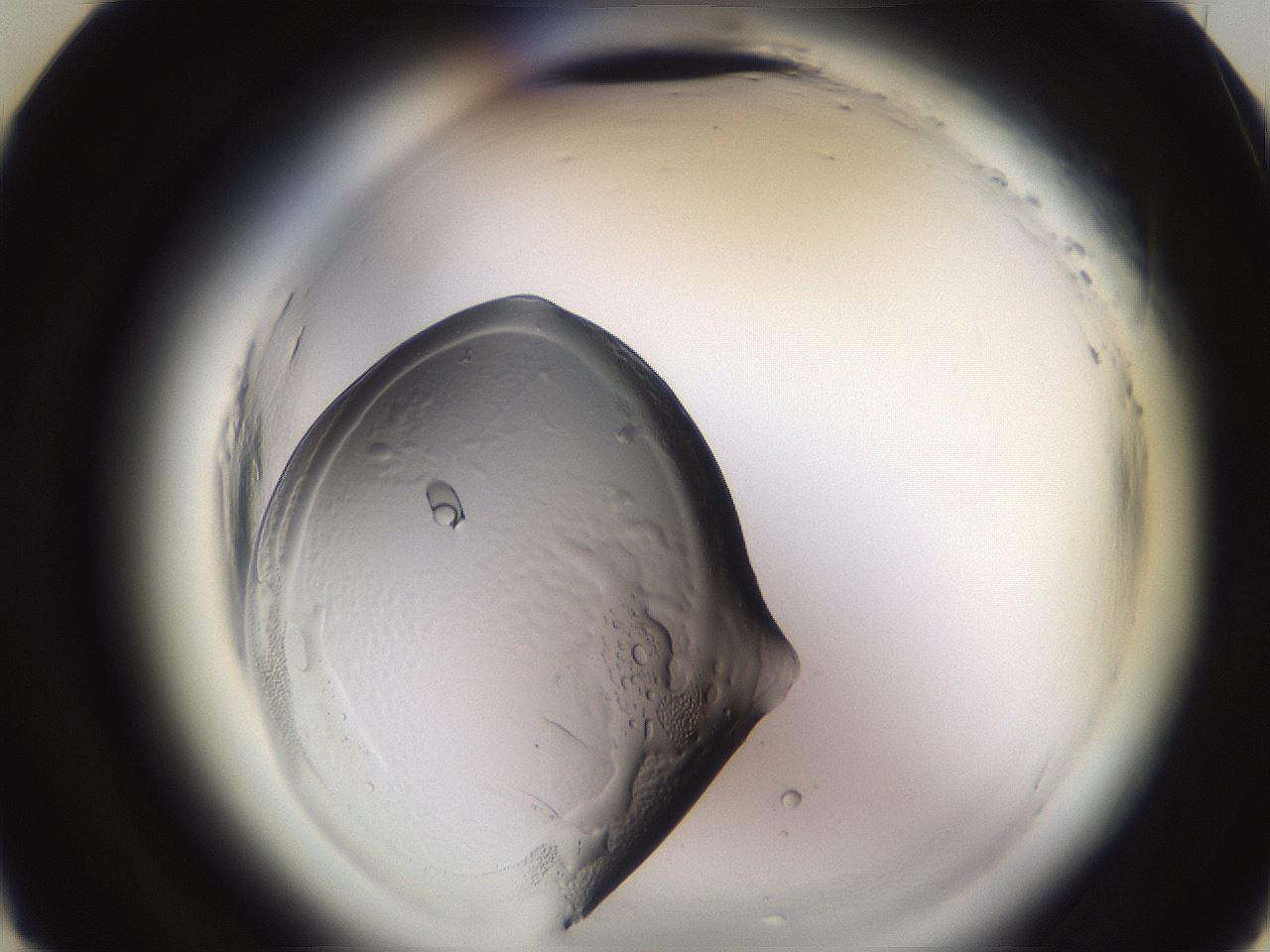 folderID611_plateID2611_batchID13192_wellNum9_profileID1_d3_r207108_ef.jpg