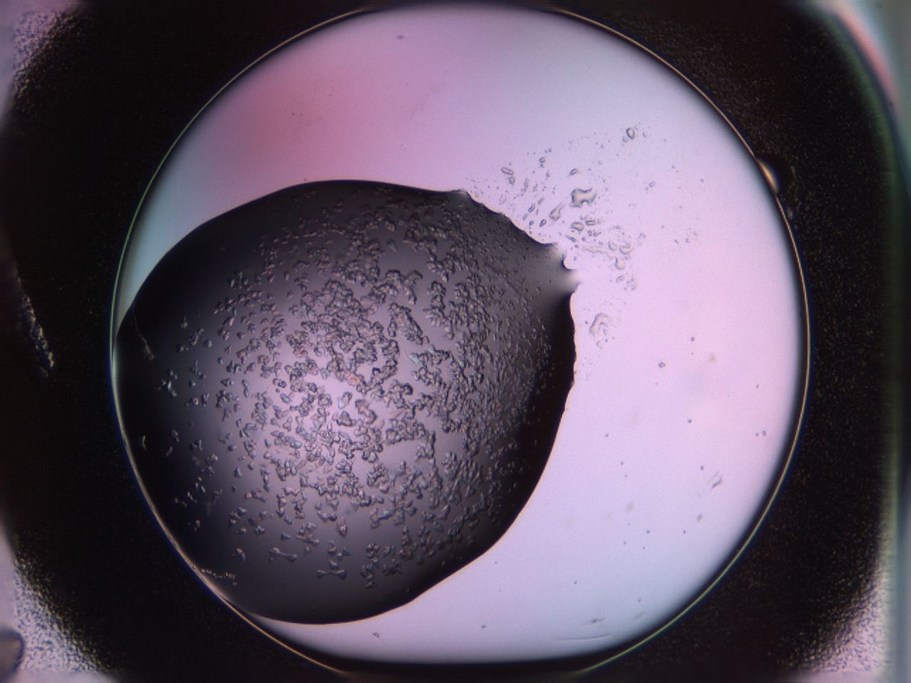 02tp_A7_ImagerDefaults_6.jpg