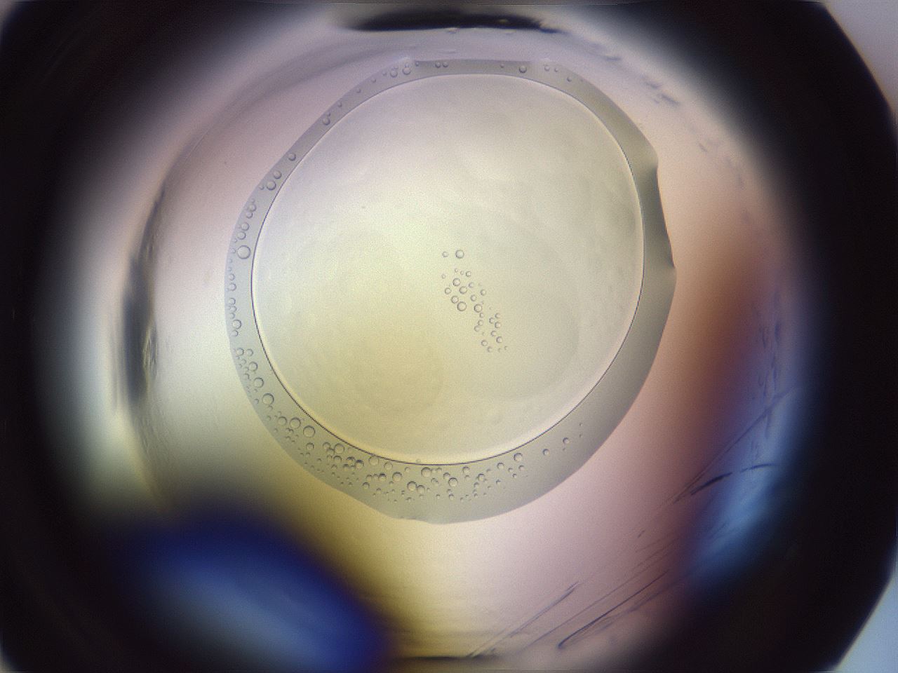 folderID612_plateID2612_batchID13186_wellNum2_profileID1_d1_r205645_ef.jpg