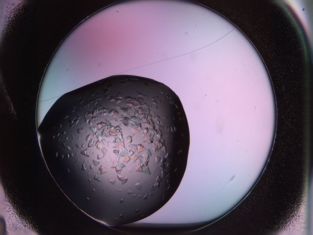 02tp_A4_ImagerDefaults_8.jpg