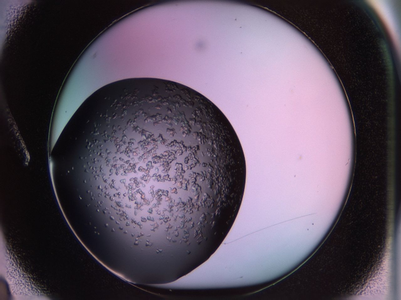 02tp_A3_ImagerDefaults_6.jpg