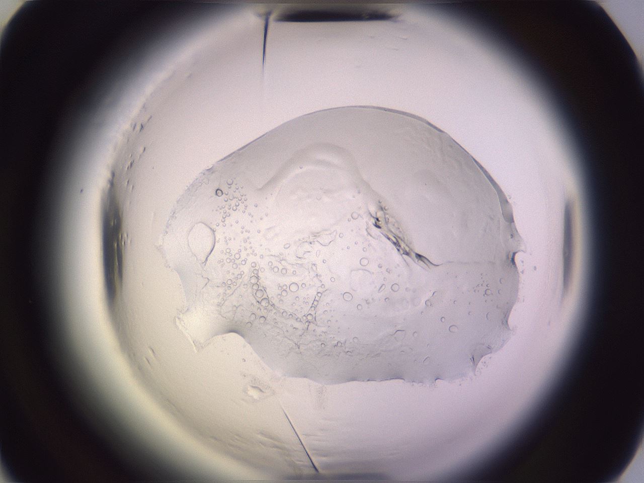 folderID612_plateID2612_batchID13186_wellNum50_profileID1_d2_r205790_ef.jpg
