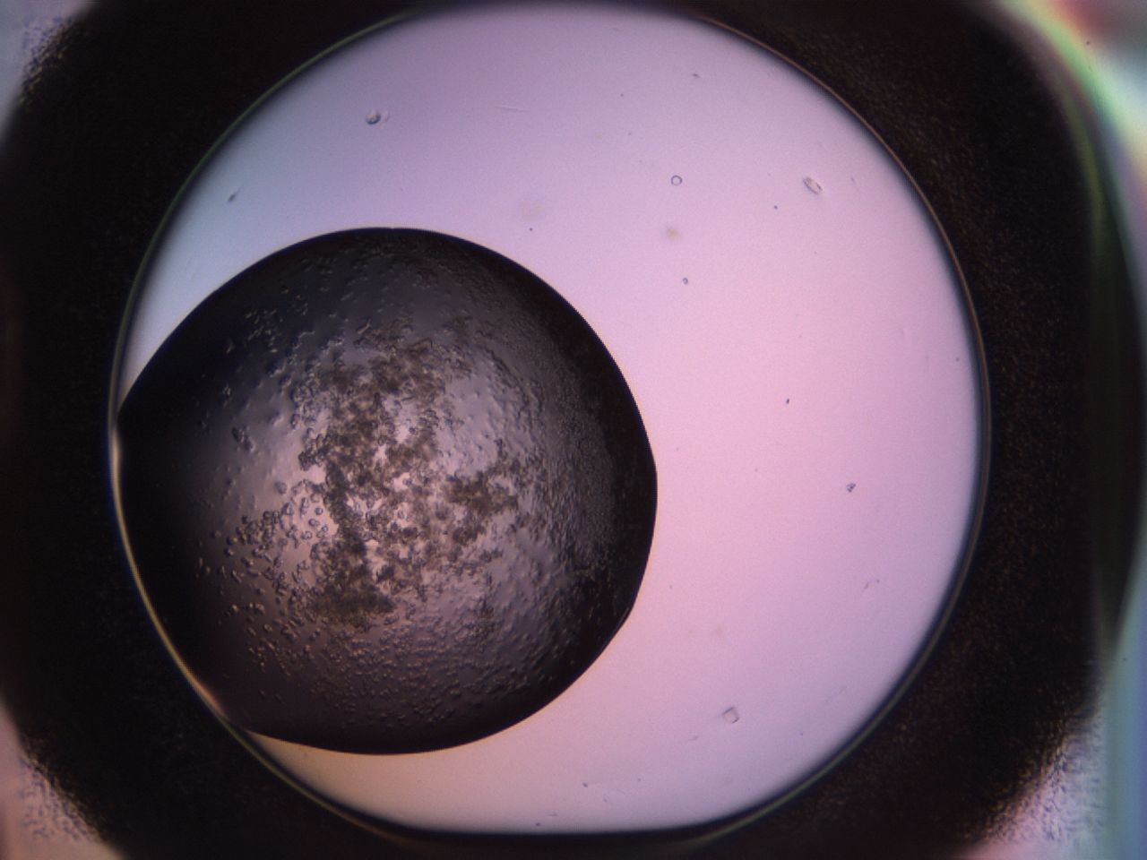 02tp_D4_ImagerDefaults_6.jpg