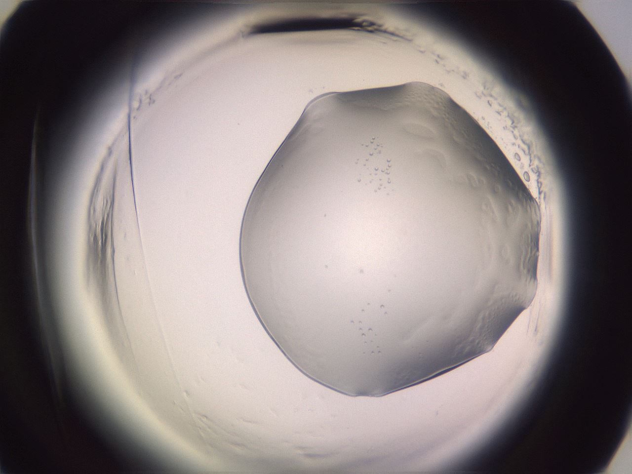 folderID612_plateID2612_batchID13186_wellNum54_profileID1_d3_r205803_ef.jpg