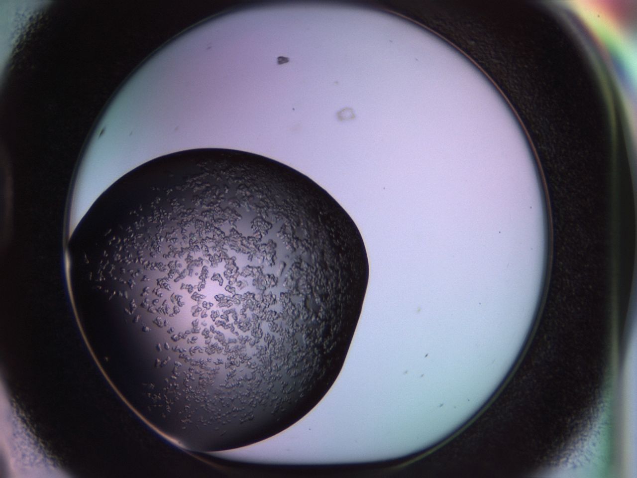 02tp_D8_ImagerDefaults_6.jpg
