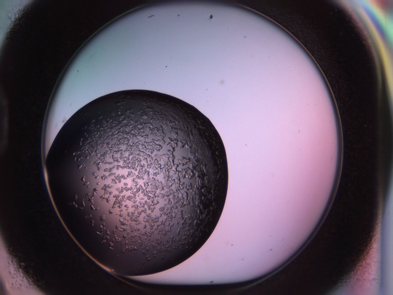 02tp_D9_ImagerDefaults_6.jpg