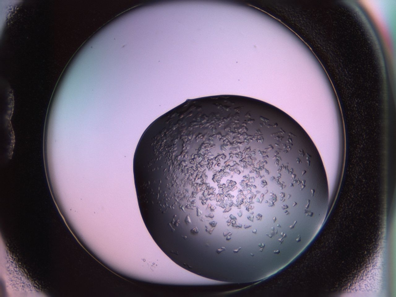 02tp_B3_ImagerDefaults_6.jpg