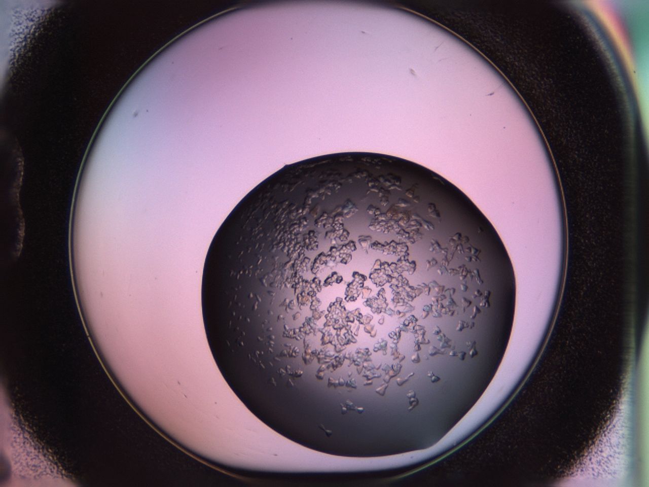 02tp_B6_ImagerDefaults_6.jpg