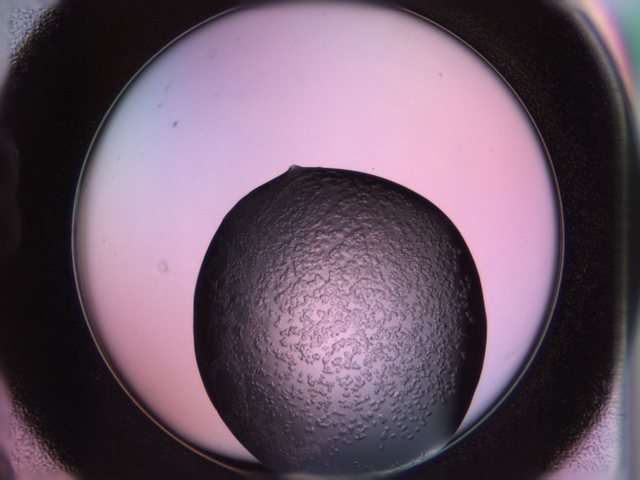 02tp_B9_ImagerDefaults_6.jpg