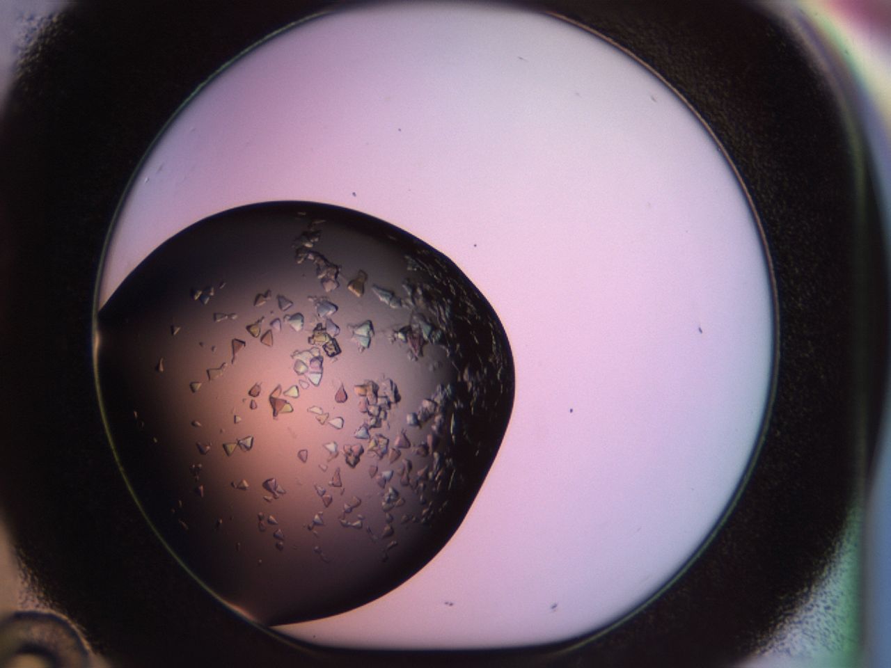 02tp_D10_ImagerDefaults_7.jpg