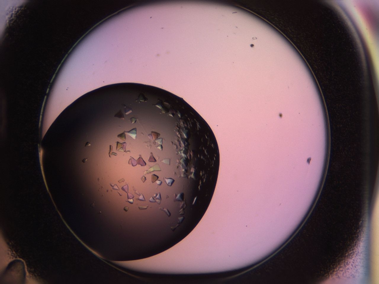 02tp_D11_ImagerDefaults_8.jpg