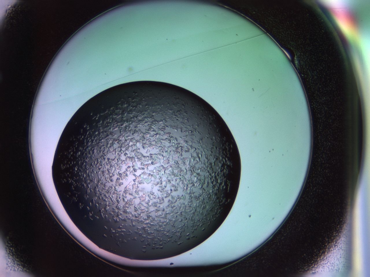02tp_E1_ImagerDefaults_6.jpg