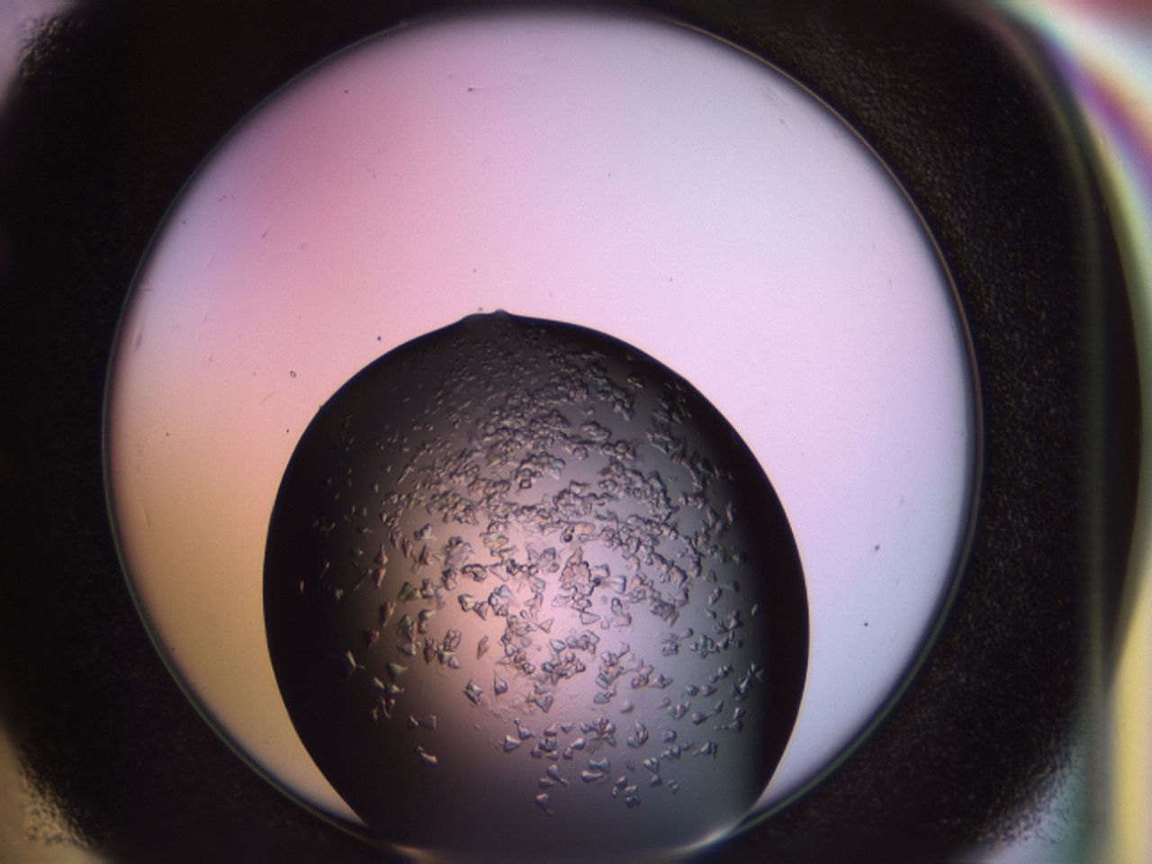 02tp_E5_ImagerDefaults_6.jpg