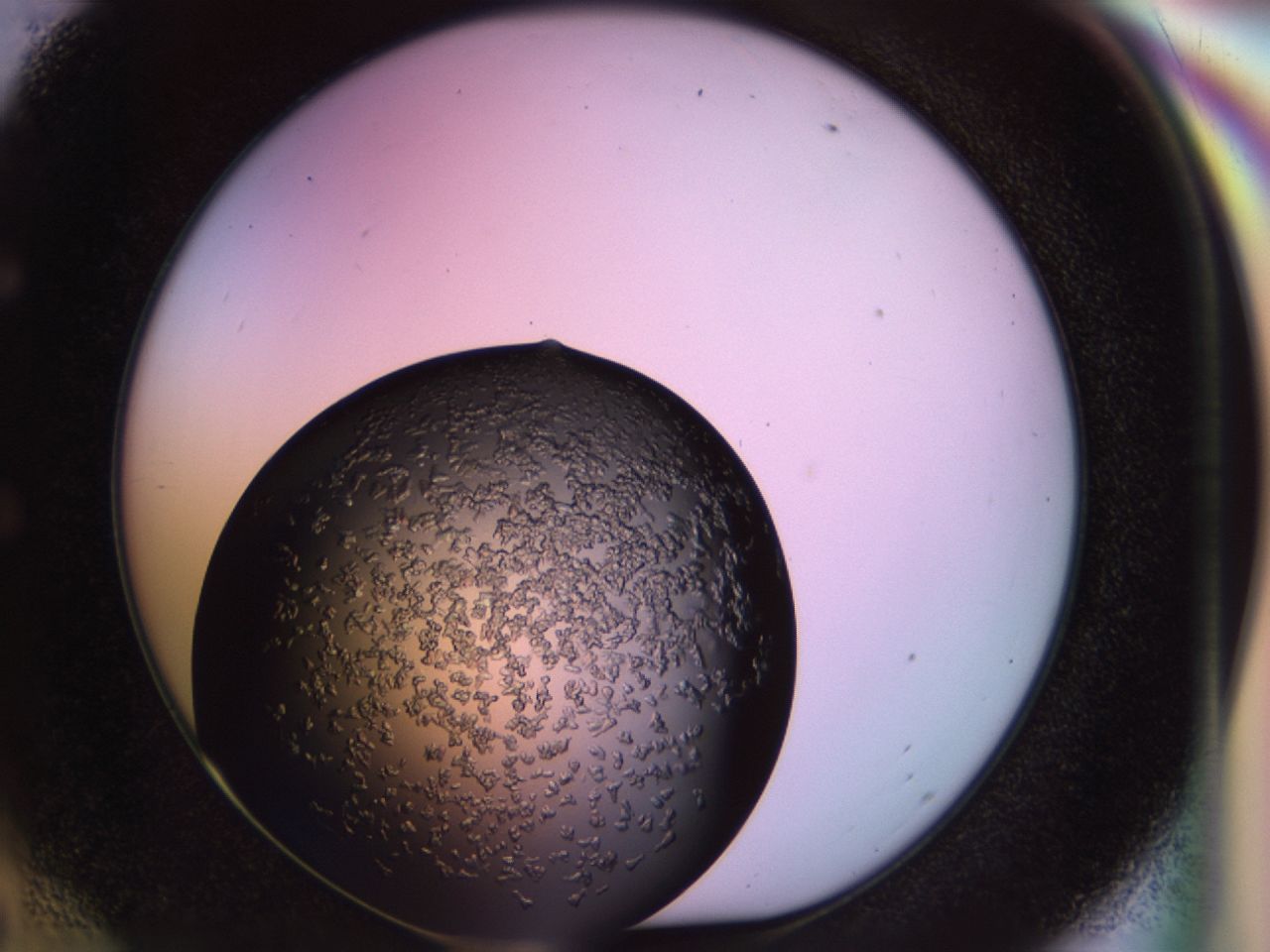 02tp_E6_ImagerDefaults_6.jpg