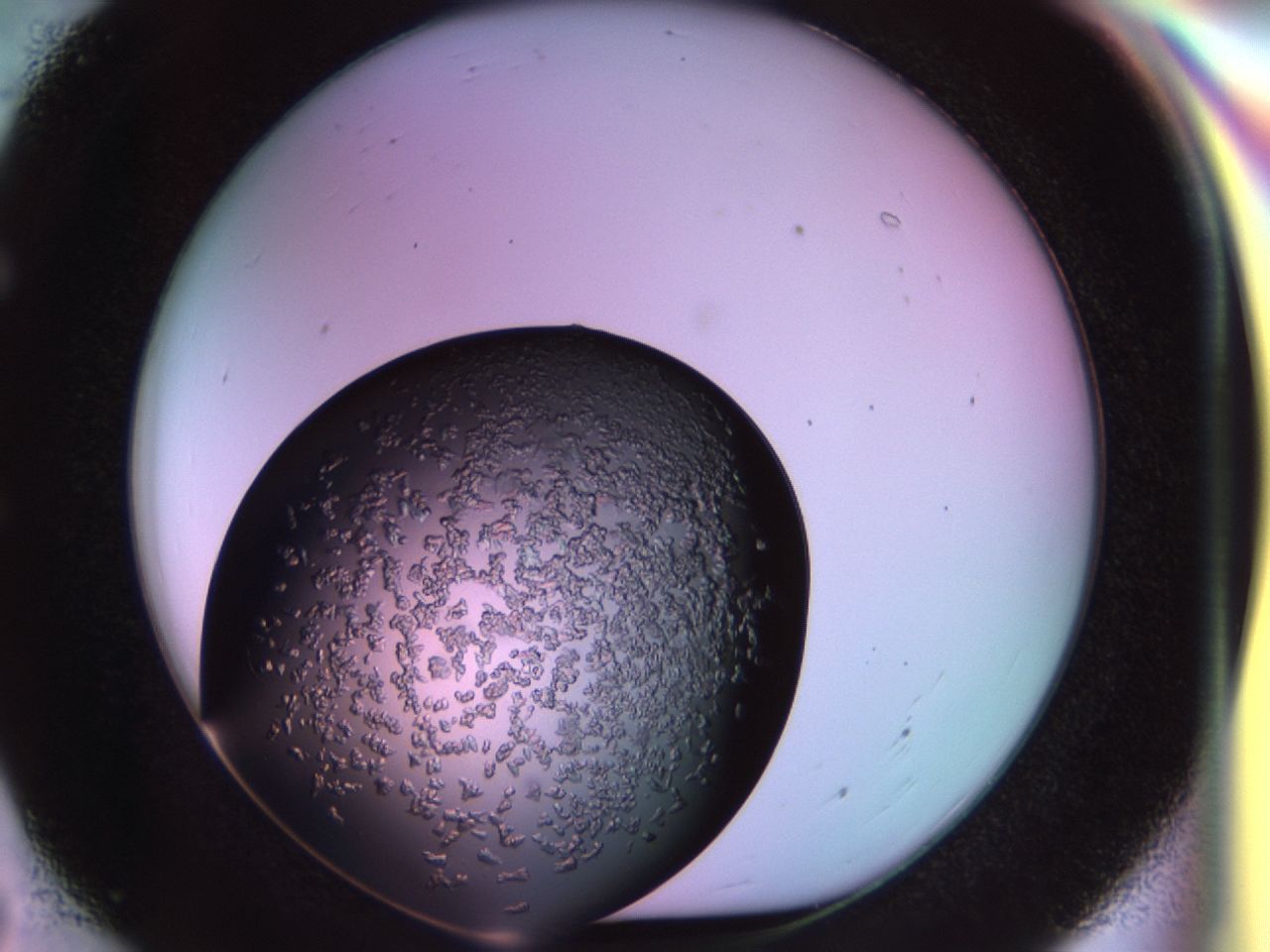 02tp_E7_ImagerDefaults_6.jpg