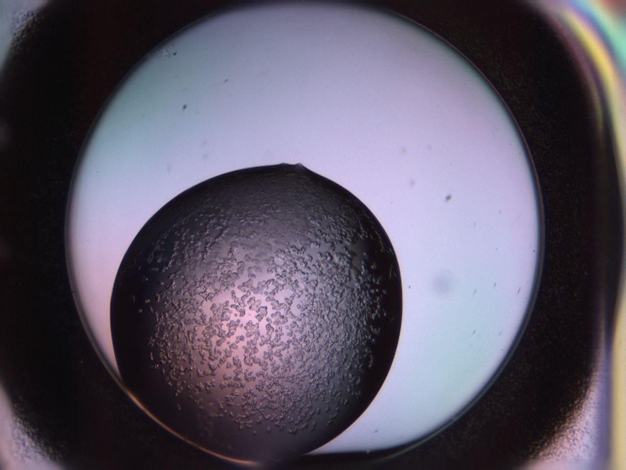 02tp_E9_ImagerDefaults_6.jpg