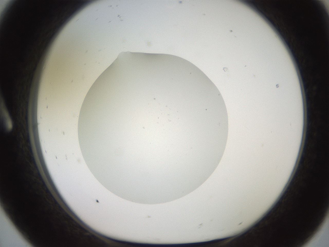 folderID617_plateID1617_batchID6744_wellNum8_profileID1_d1_r107398_ef.jpg