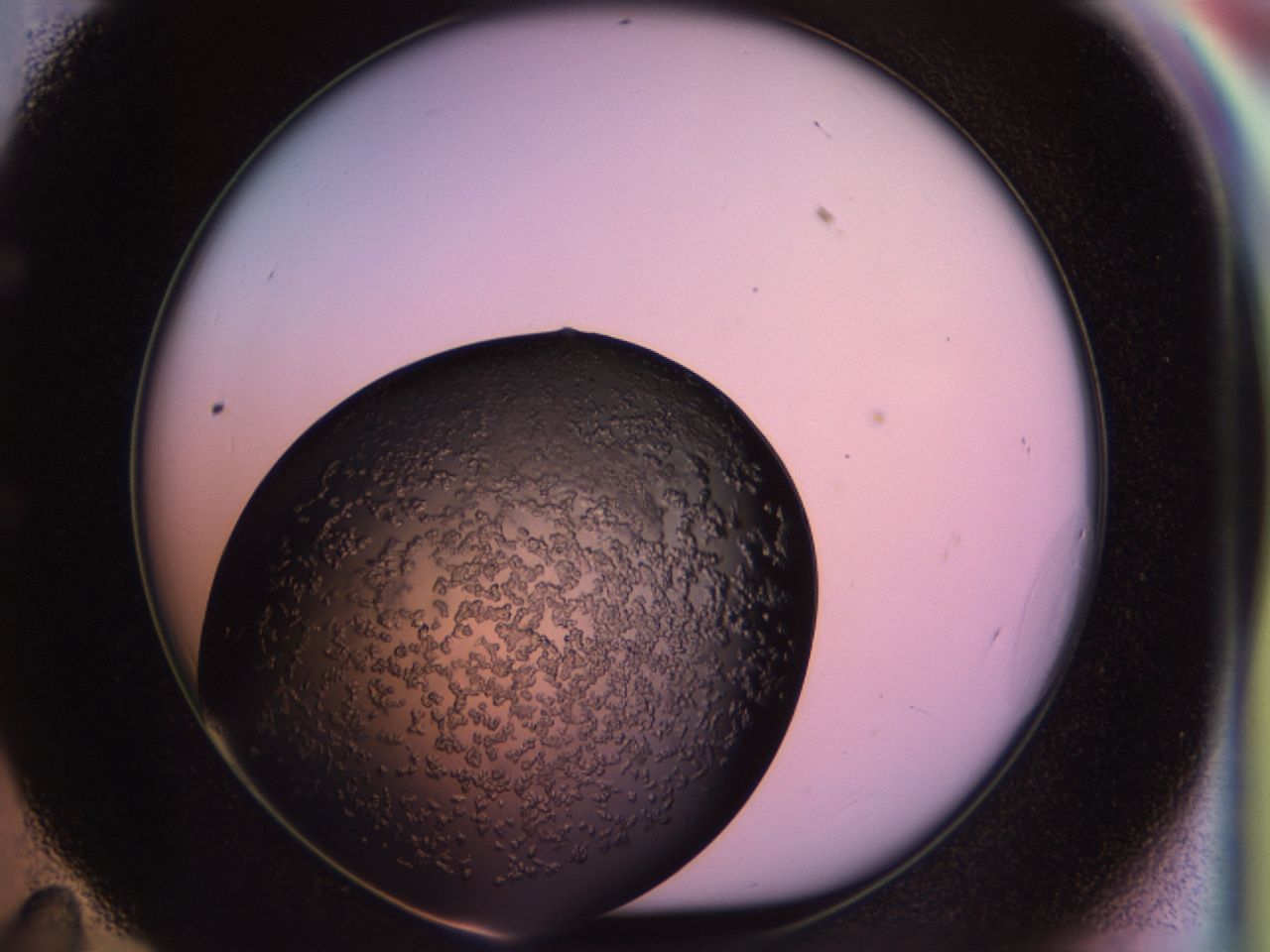 02tp_E11_ImagerDefaults_6.jpg