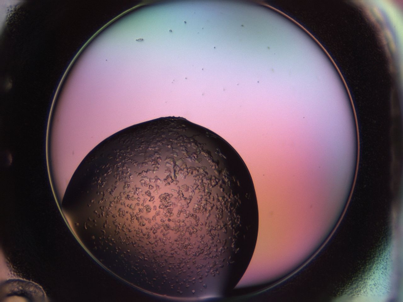 02tp_E12_ImagerDefaults_6.jpg