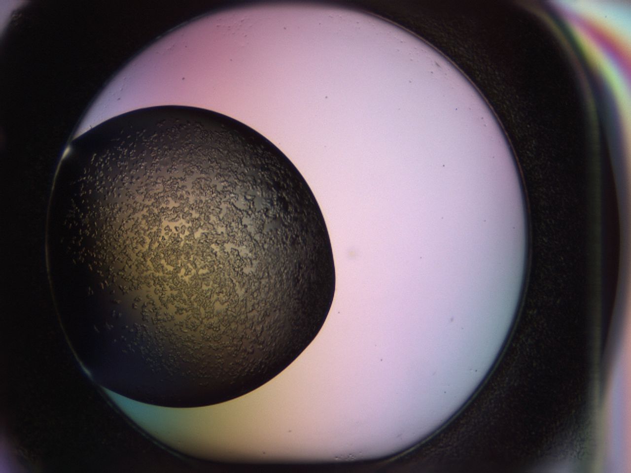 02tp_F4_ImagerDefaults_6.jpg