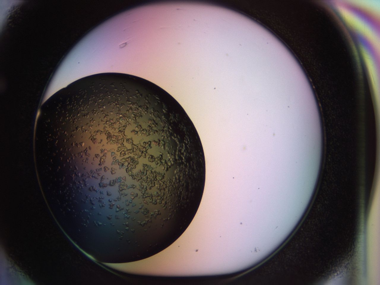02tp_F6_ImagerDefaults_6.jpg
