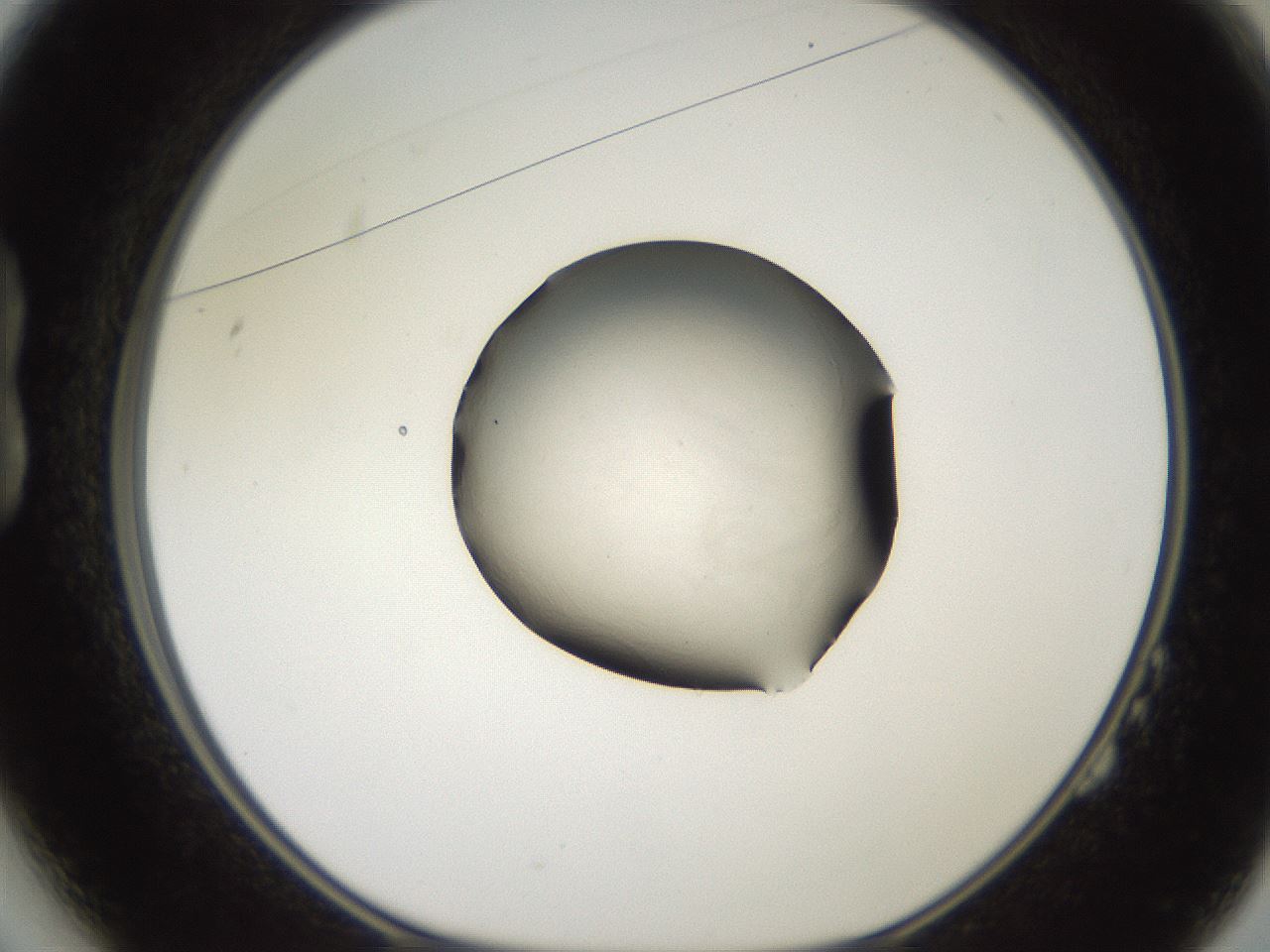 folderID619_plateID1619_batchID6747_wellNum14_profileID1_d1_r107794_ef.jpg