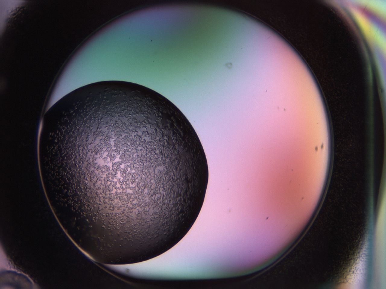 02tp_F10_ImagerDefaults_6.jpg