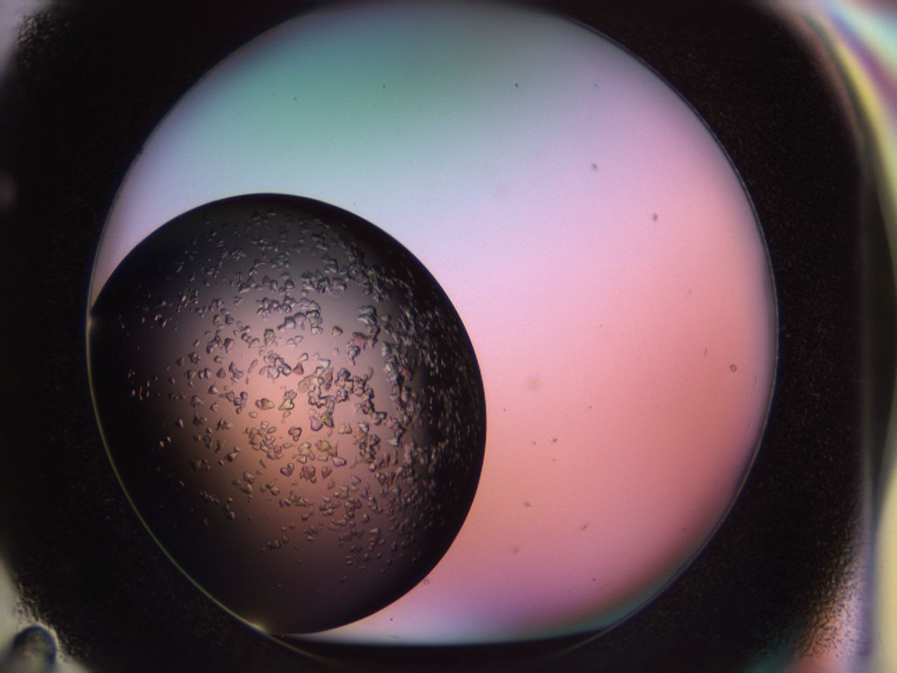 02tp_F11_ImagerDefaults_6.jpg